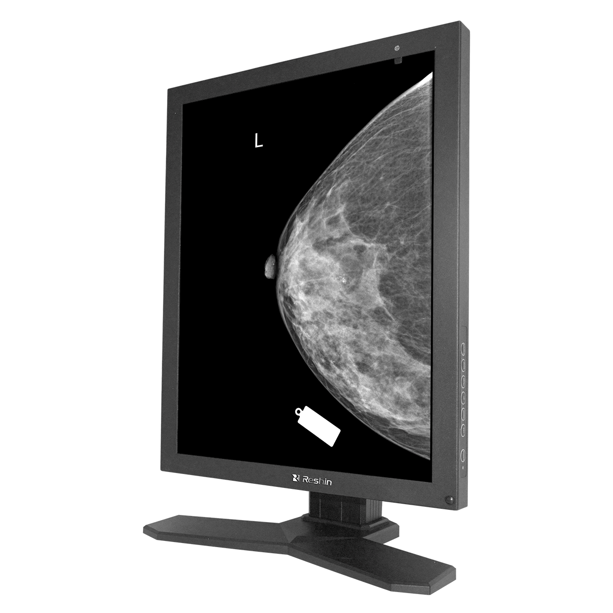 High-precision 5MP medical monitor for mammography